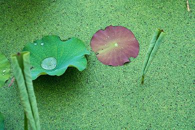 《仙剑世界》9月下旬开启付费测试 年底正式上线
